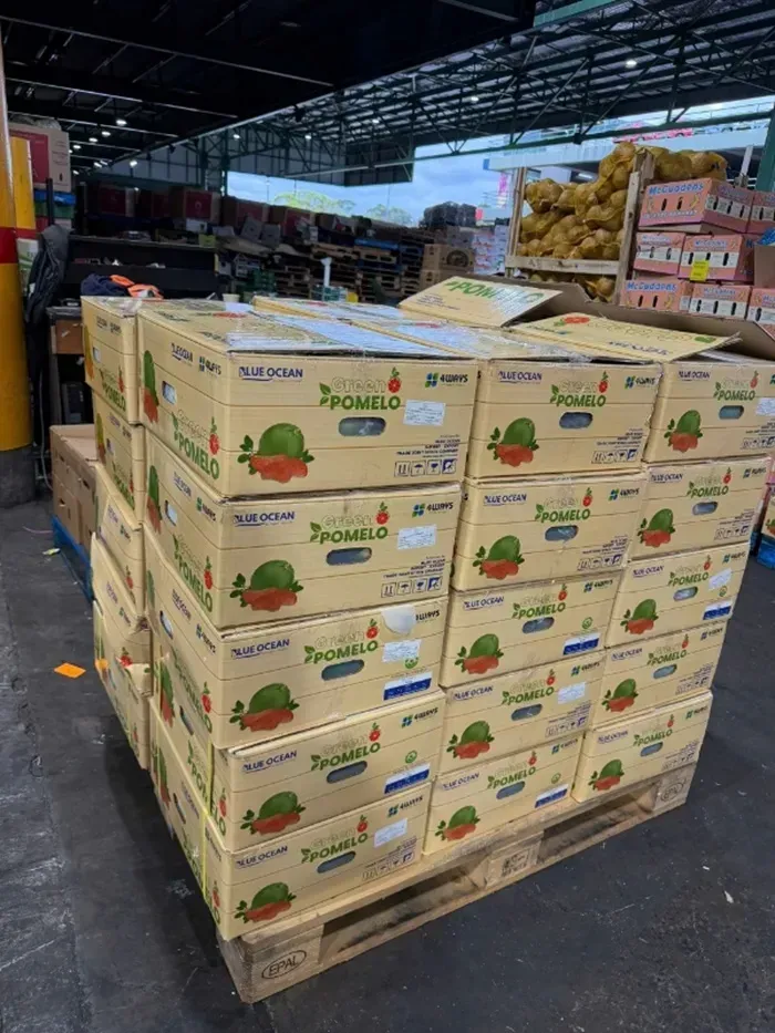 Bưởi tươi Việt Nam ch&iacute;nh thức xuất khẩu sang thị trường Australia