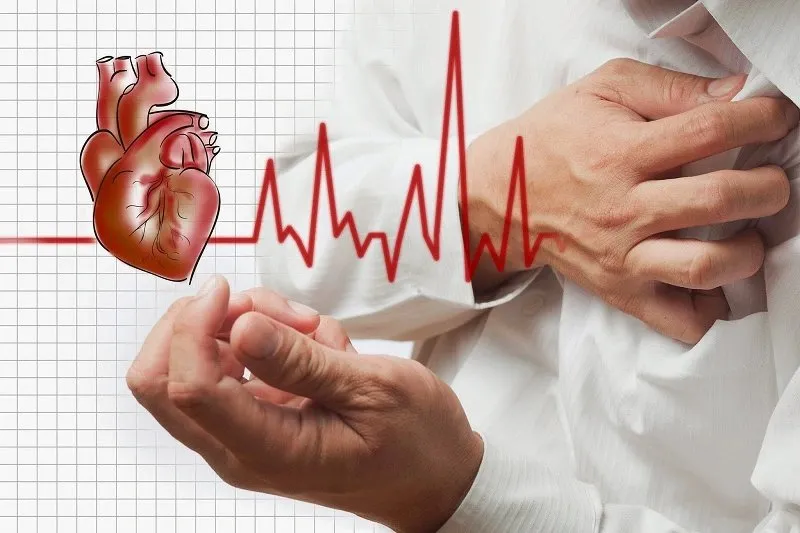 Cải bó xôi – Thực phẩm mang nhiều lợi ích cho sức khỏe