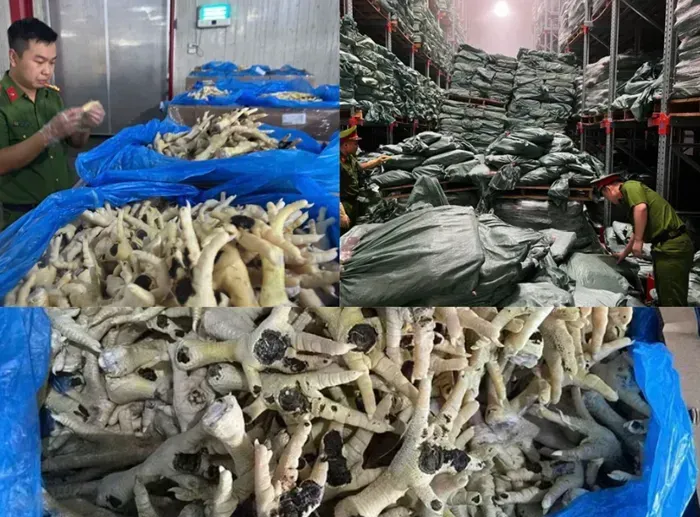 Ph&aacute;t hiện 260 tấn ch&acirc;n g&agrave; mốc, bốc m&ugrave;i trong vụ bu&ocirc;n lậu quy m&ocirc; lớn