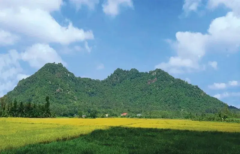 Theo bài viết Cổng Thông tin điện tử Chính phủ đăng tải ngày 29/9/2025, khu di tích khảo cổ và kiến trúc nghệ thuật Óc Eo - Ba Thê nằm tại thị trấn Óc Eo, huyện Thoại Sơn, tỉnh An Giang (cũ), có tổng diện tích quy hoạch bảo tồn khoảng 433,1 ha. Trong đó, khu vực sườn, chân núi Ba Thê (khu A) chiếm 143,9 ha, còn lại là cánh đồng Óc Eo (khu B) với diện tích 289,3 ha. Dẫn nghiên cứu “Một số thông tin về văn hóa Óc Eo” của Bảo tàng lịch sử Việt Nam, đăng trên Tạp chí Di sản Văn hóa số 2 (11) năm 2005, văn hóa Óc Eo là hiện tượng văn hóa - khảo cổ học lớn, gắn liền đất đai, con người vùng hạ lưu sông Mê Kông. Nền văn hóa này đồng thời có mối quan hệ mật thiết với lịch sử Đông Nam Á cổ đại. Văn hóa Óc Eo được biết đến rộng rãi sau cuộc khai quật năm 1944 tại cánh đồng Óc Eo (An Giang), do nhà khảo cổ học người Pháp Louis Malleret chủ trì.   Khu di tích khảo cổ và kiến trúc nghệ thuật Óc Eo - Ba Thê nằm tại thị trấn Óc Eo, huyện Thoại Sơn, tỉnh An Giang (cũ). Nguồn: Cổng Thông tin điện tử Chính phủ   Văn hóa Óc Eo được biết đến rộng rãi sau cuộc khai quật năm 1944 tại cánh đồng Óc Eo (An Giang), do nhà khảo cổ học người Pháp Louis Malleret chủ trì. Nguồn: Bộ Văn hóa, Thể thao và Du lịch Việt Nam  Cuộc khai quật trên đã cung cấp thêm nhiều thông tin về khu di tích nằm tại tỉnh An Giang. Núi Ba Thê là đỉnh cao nhất ở nhóm núi thành tạo từ hoa cương, gồm núi Nhỏ, núi Trọc ở phía Bắc, núi Tượng phía Đông Bắc, núi Trọc nằm ở giữa thị trấn Thoại Sơn và xã Vọng Thê (cũ), núi Sập ở phía Đông. Gồ Óc Eo cách chân núi Ba Thê khoảng hơn 1km phía Tây Nam. Dấu vết con kênh cổ, gọi là Lung Lớn (đường nước trung tâm thành thị Óc Eo), nối liền hai di chỉ Óc Eo, Nền Chùa vẫn đậm nét trên hiện trường. Ngày nay, hầu hết gò nhỏ, kể cả gò Óc Eo, đều bị san phẳng để làm ruộng. Chỉ những gò lớn như Gò Cây Thị, Giồng Cát, Giồng Xoài,...còn tồn tại. Hiện Óc Eo nằm sâu trong đất liền hơn 20km, nhưng theo các nhà địa chất, khoảng đầu Công nguyên, Óc Eo đóng vai trò như cửa biển thông ra Vịnh Thái Lan.  Núi Ba Thê là đỉnh cao nhất ở nhóm núi thành tạo từ hoa cương, gồm núi Nhỏ, núi Trọc ở phía Bắc, núi Tượng về phía Đông Bắc, núi Trọc nằm ở giữa thị trấn Thoại Sơn và xã Vọng Thê (cũ). Nguồn: UBND tỉnh An Giang  Di tích Gò Cây Thị A. Nguồn: Tổng Cục Du lịch Việt Nam Những phát hiện khảo cổ học ở khu di tích Óc Eo - Ba Thê đã cung cấp thêm nhiều dữ liệu khoa học quan trọng, giúp làm sáng tỏ đặc điểm, tính chất một “đô thị cổ” từng phát triển phồn thịnh trên cánh đồng Óc Eo. Khu vực này từng là nơi cư trú sầm uất dọc theo hệ thống kênh rạch, nền kinh tế nông nghiệp kết hợp thương nghiệp phát triển mạnh mẽ. Hoạt động giao thương đường biển tại đây mang tính quốc tế, thể hiện qua các mối liên kết chặt chẽ cùng nhiều vùng lãnh thổ khác nhau trên thế giới cùng thời kỳ. Cổng thông tin điện tử Chính phủ chia sẻ thêm, với giá trị và tầm vóc lớn văn hóa Óc Eo ở lịch sử Việt Nam, khu di tích Óc Eo - Ba Thê được xếp hạng Di tích Quốc gia đặc biệt từ ngày 27/9/2012. Đến ngày 23/1/2021, Thủ tướng Chính phủ đã phê duyệt Quy hoạch bảo quản, tu bổ, phục hồi khu di tích. Ngày 4/1/2022, Trung tâm Di sản thế giới của UNESCO đưa Khu di tích khảo cổ Óc Eo - Ba Thê vào Danh sách dự kiến lập Hồ sơ Di sản văn hóa thế giới. Trên cơ sở đó, mới đây, Phó Thủ tướng Chính phủ giao Bộ Văn hóa, Thể thao và Du lịch Việt Nam (VHTT&DL) phối hợp UBND tỉnh An Giang rà soát kỹ lưỡng, hoàn thiện nội dung hồ sơ đề cử khu di tích trở thành Di sản Văn hóa thế giới, bảo đảm chất lượng, đúng quy định pháp luật. Bộ trưởng Bộ VHTT&DL nhận ủy quyền ký Hồ sơ đề cử “Khu di tích khảo cổ Óc Eo - Ba Thê, tỉnh An Giang” (bản dự thảo), gửi đến Trung tâm Di sản thế giới UNESCO. Bộ Ngoại giao Việt Nam, Ủy ban Quốc gia UNESCO Việt Nam có trách nhiệm chủ trì, phối hợp với cơ quan liên quan thực hiện đầy đủ thủ tục, gửi bản dự thảo hồ sơ trước ngày 30/9/2025 đúng quy định. Đồng thời, các cơ quan sẽ phát huy vai trò Việt Nam trong cơ chế điều hành của UNESCO; tích cực hỗ trợ Bộ VHTT&DL, UBND tỉnh An Giang, những bên liên quan vận động quốc tế, tạo sự đồng thuận, ủng hộ việc ghi danh khu di tích trên là Di sản thế giới. UBND tỉnh An Giang chịu trách nhiệm toàn diện nội dung hồ sơ đề cử theo quy định Công ước 1972 của UNESCO về Bảo tồn Di sản Văn hóa và Thiên nhiên thế giới, cũng như pháp luật Việt Nam liên quan đến di sản văn hóa. Tỉnh An Giang nhận nhiệm vụ chủ trì, phối hợp chặt chẽ cùng cơ quan trung ương, chuyên gia, nhà khoa học trong - ngoài nước để khẩn trương nghiên cứu, rà soát, bổ sung, chỉnh sửa, hoàn thiện bản hồ sơ chính thức.  Phuong Anh
