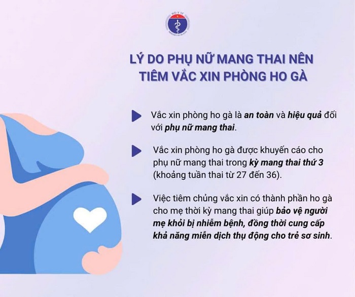 Phụ nữ mang thai được khuyến cáo tiêm vắc xin phòng bệnh ho gà Phụ nữ mang thai được khuyến cáo tiêm vắc xin phòng bệnh ho gà