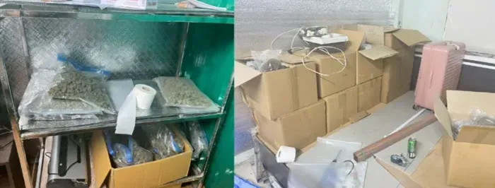 thai-lan-triet-pha-xuong-can-sa-hon-400kg-do-nguoi-viet-dieu-hanh-2.webp Thái Lan triệt phá xưởng cần sa hơn 400kg do người Việt điều hành