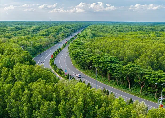 tphcm-xay-dung-du-lich-nghi-duong-giai-tri-tai-rung-phong-ho-can-gio-2.webp TP. HCM xây dựng du lịch nghỉ dưỡng, giải trí tại Rừng phòng hộ Cần Giờ