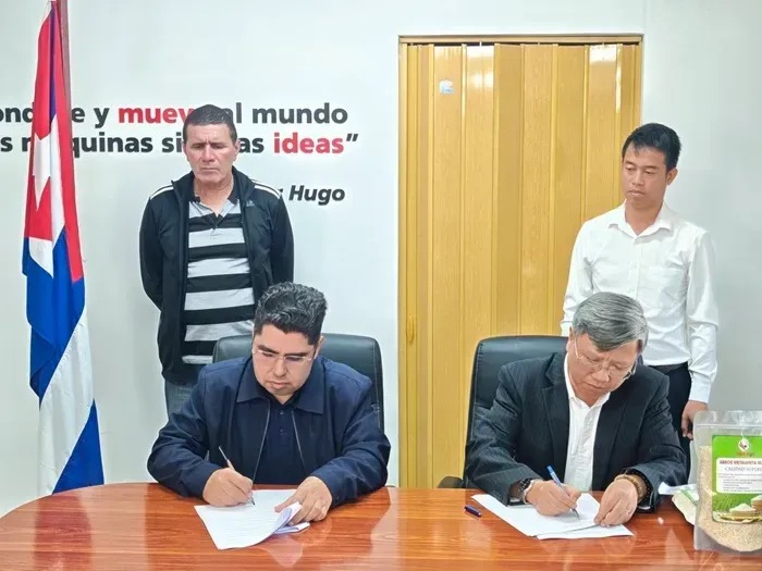 B&agrave;n giao 250 tấn gạo do doanh nghiệp Việt Nam sản xuất tại Cuba