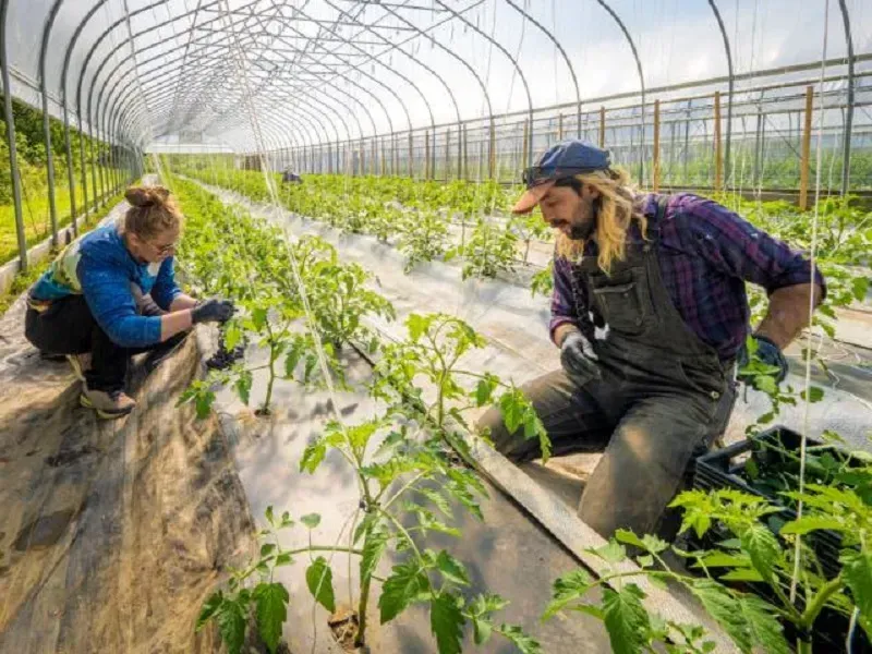 Lạm ph&aacute;t tại Hoa Kỳ c&oacute; nguy cơ tăng mạnh v&igrave; Iran