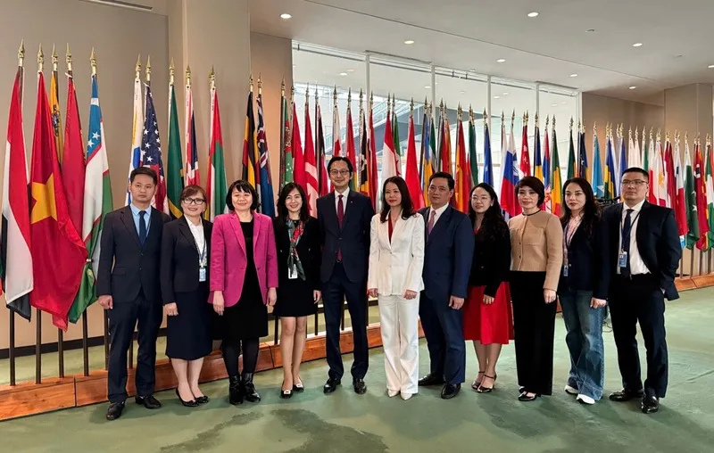 Việt Nam tái đắc cử thành viên Hội đồng Nhân quyền Liên Hợp Quốc Việt Nam tái đắc cử thành viên Hội đồng Nhân quyền Liên Hợp Quốc