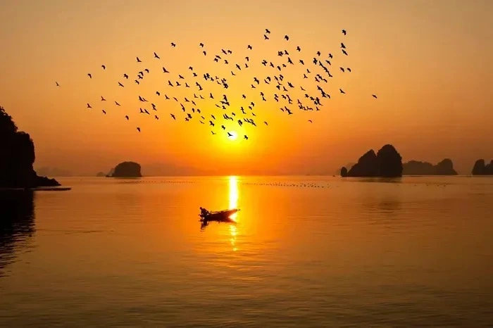 Vịnh B&aacute;i Tử Long lọt top 3 kỳ quan bậc nhất Đ&ocirc;ng Nam &Aacute;