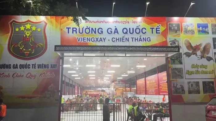 Việt Nam triệt ph&aacute; trường g&agrave; quốc tế, bắt giữ 205 đối tượng
