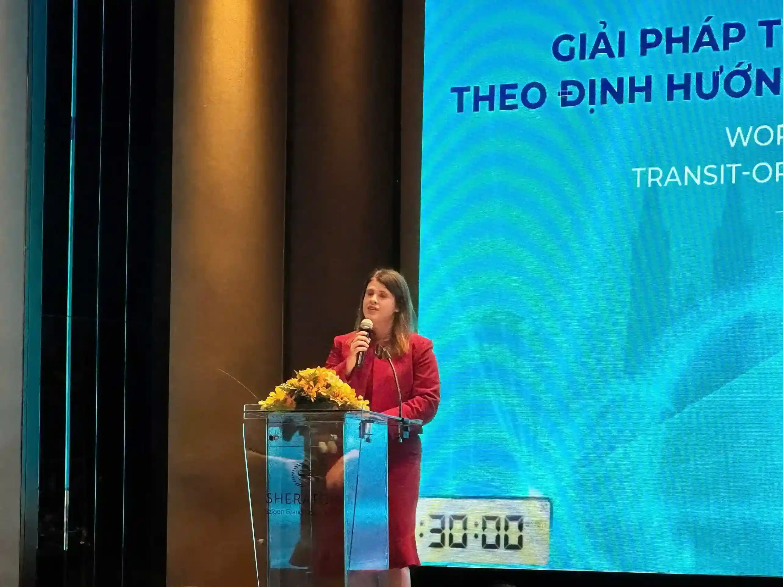 Việt Nam tìm giải pháp phát triển giao thông công cộng (TOD) tại TP. HCM