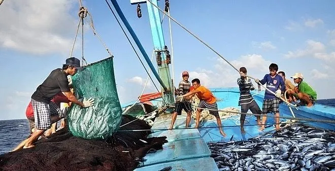 Việt Nam phản hồi trước nguy cơ bị Hoa Kỳ cấm nhập khẩu hải sản 