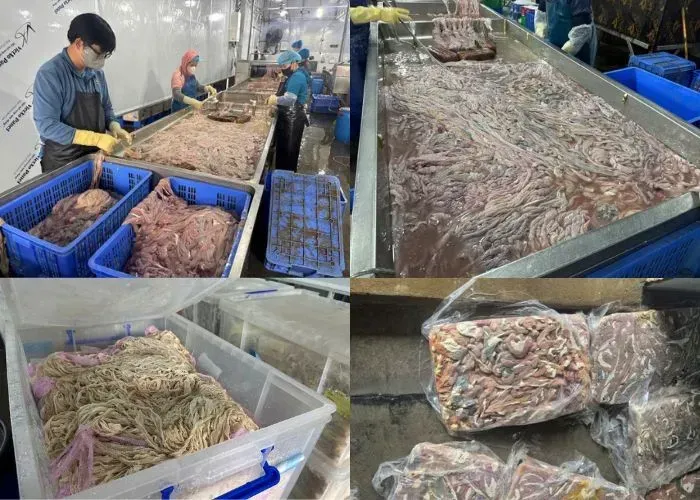 H&agrave;ng chục tấn l&ograve;ng lợn h&ocirc;i thối bị ph&aacute;t hiện tại H&agrave; Nội 