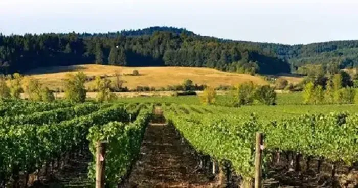 Cảnh sát công bố nghi phạm trong vụ phát hiện 5 thi thể tại Oregon