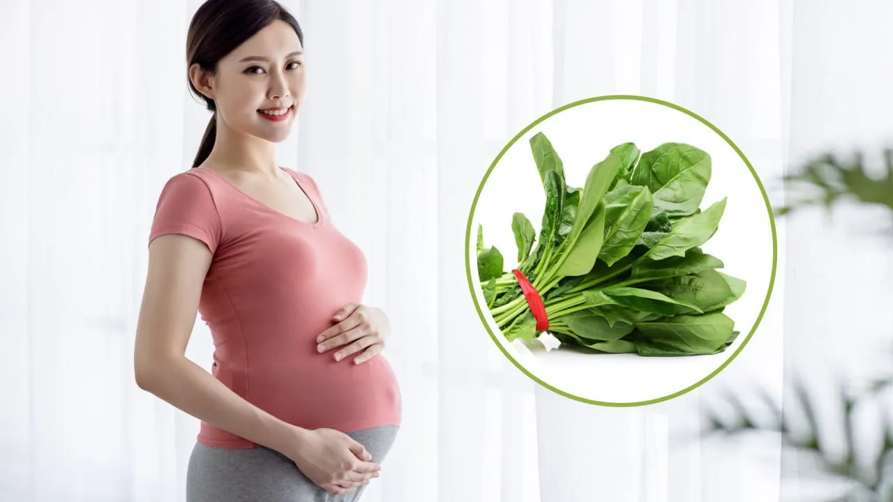 Cải bó xôi – Thực phẩm mang nhiều lợi ích cho sức khỏe