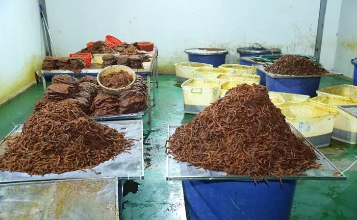 Đồng Nai triệt phá đường dây biến thịt trâu thành khô bò 