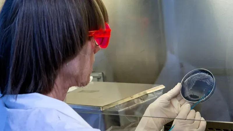 New York ghi nhận ca tử vong đầu tiên trong đợt bùng phát bệnh Legionnaires New York ghi nhận ca tử vong đầu tiên trong đợt bùng phát bệnh Legionnaires