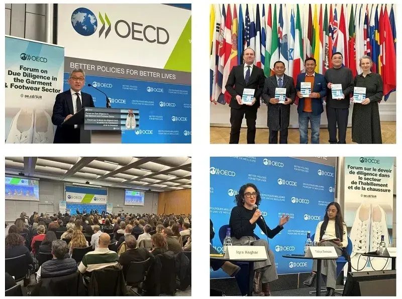 oecd-mien-thue-toi-thieu-toan-cau-cho-tap-doan-da-quoc-gia-hoa-ky-4.webp OECD miễn thuế tối thiểu toàn cầu cho tập đoàn đa quốc gia Hoa Kỳ