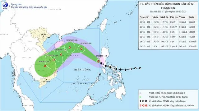 Đà Nẵng triển khai các giải pháp ứng phó bão Fengshen Đà Nẵng triển khai các giải pháp ứng phó bão Fengshen