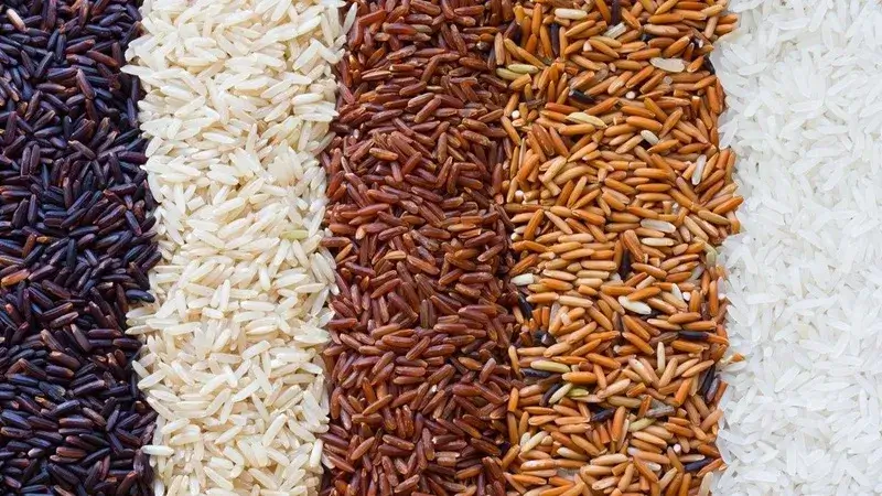 Kẹo gạo lứt giòn ngon bổ dưỡng