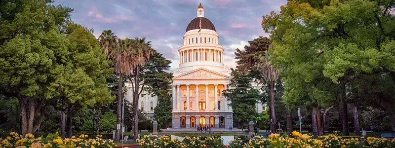 Thẩm phán liên bang bác bỏ yêu cầu tách riêng 20.000 phiếu bầu tại California