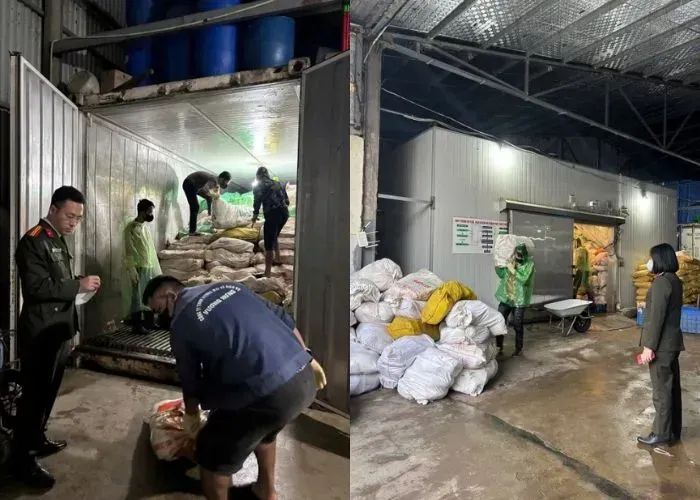 H&agrave;ng chục tấn l&ograve;ng lợn h&ocirc;i thối bị ph&aacute;t hiện tại H&agrave; Nội 