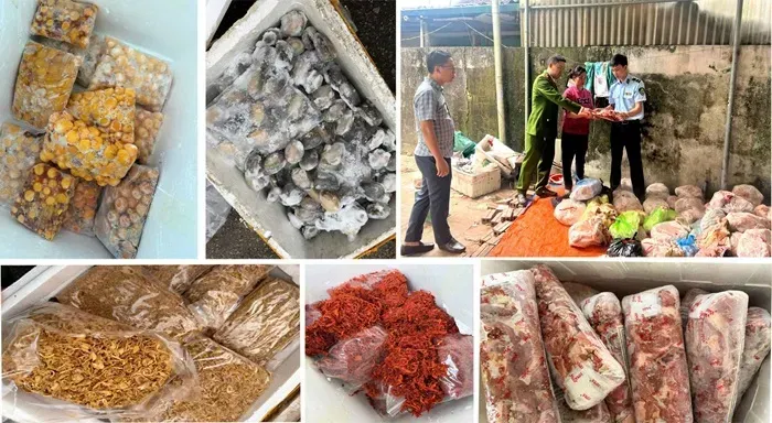 tiep-tuc-phat-hien-gan-4-tan-thuc-pham-khong-ro-nguon-goc-2.webp Tiếp tục phát hiện gần 4 tấn thực phẩm không rõ nguồn gốc