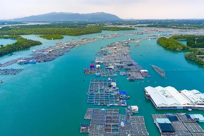 TP. HCM khai th&aacute;c tour trực thăng ngắm th&agrave;nh phố từ ng&agrave;y 11/3