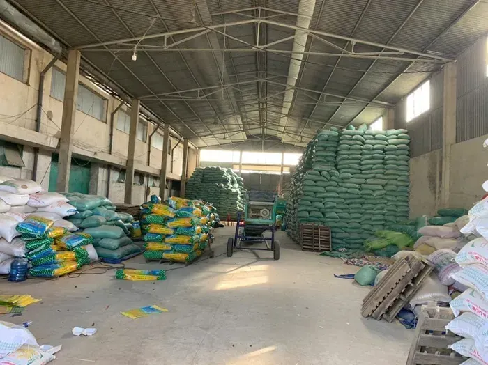 Khởi tố gi&aacute;m đốc l&agrave;m giả hơn 200 tấn l&uacute;a giống ST24, ST25