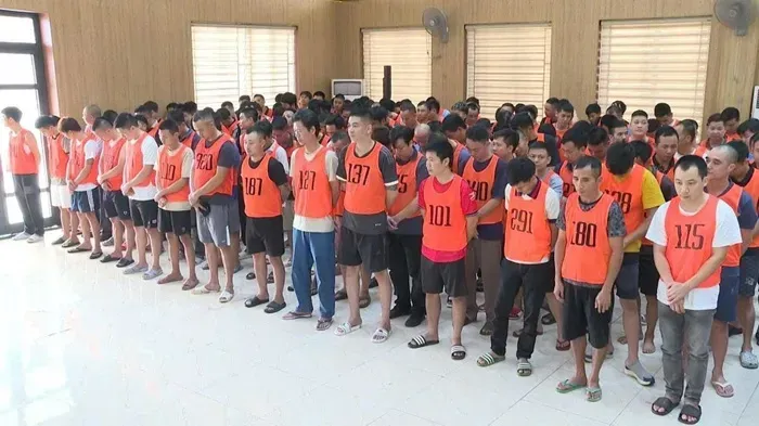 Vietnam Dismantles International Cockfighting Ring, Two hundred and five Suspects Arrested