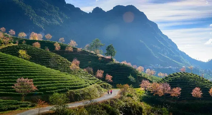 Việt Nam đứng thứ 4 trong danh sách điểm đến mùa thu 2026