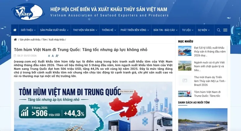 Việt Nam xuất khẩu t&ocirc;m h&ugrave;m sang Trung Quốc tăng tốc kỷ lục, vượt nửa tỷ USD