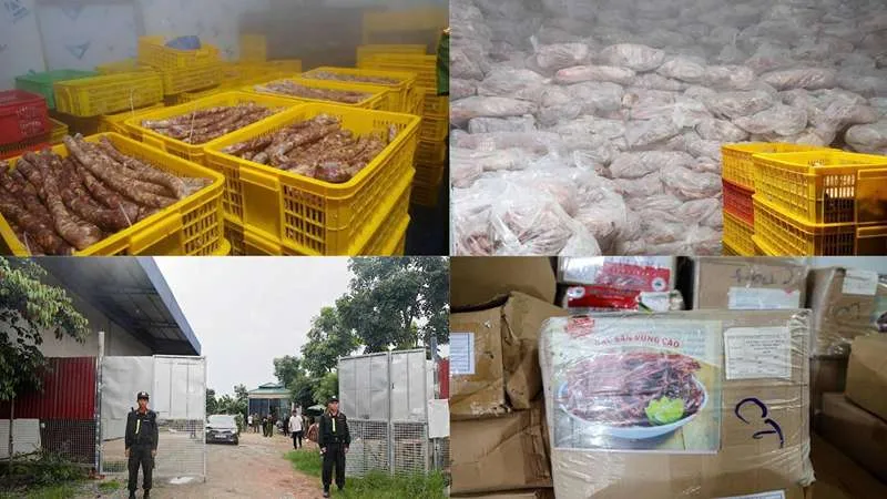 Việt Nam: Phát hiện hơn 30 tấn thịt không rõ nguồn gốc từ Ấn Độ Việt Nam: Phát hiện hơn 30 tấn thịt không rõ nguồn gốc từ Ấn Độ