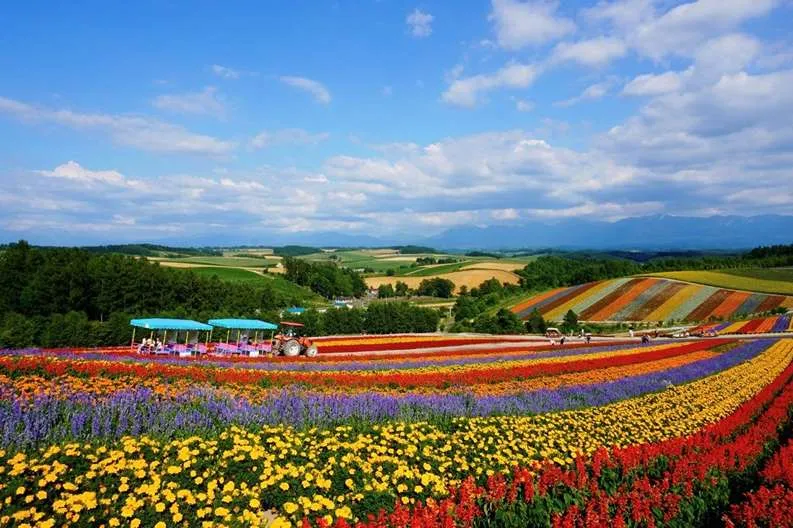  Khám phá vẻ đẹp nguyên sơ của Hokkaido qua từng mùa trong năm