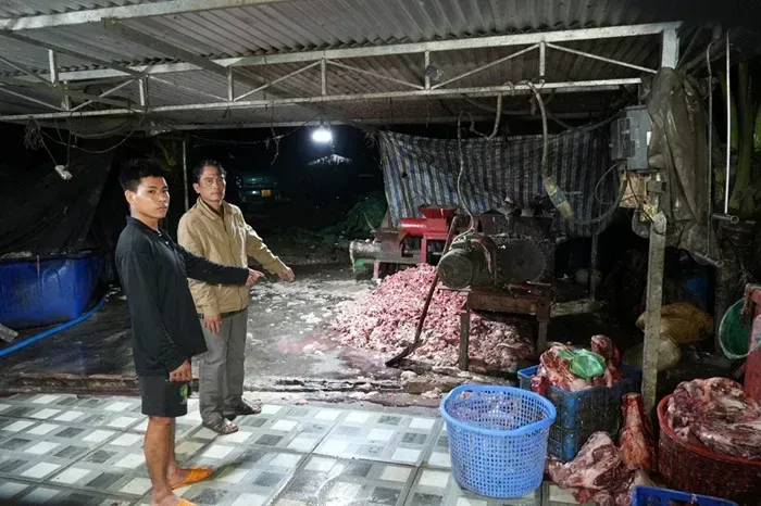 Triệt ph&aacute; đường d&acirc;y ti&ecirc;u thụ 400 tấn heo bệnh, heo chết tại Đồng Nai
