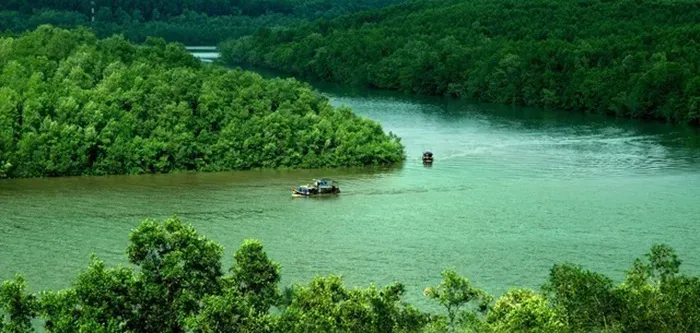 TP. HCM xây dựng du lịch nghỉ dưỡng, giải trí tại Rừng phòng hộ Cần Giờ TP. HCM xây dựng du lịch nghỉ dưỡng, giải trí tại Rừng phòng hộ Cần Giờ