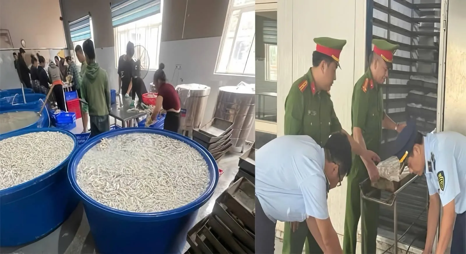 Việt Nam phát hiện 13,5 tấn chân gà không rõ nguồn gốc tại Cảng Hới
