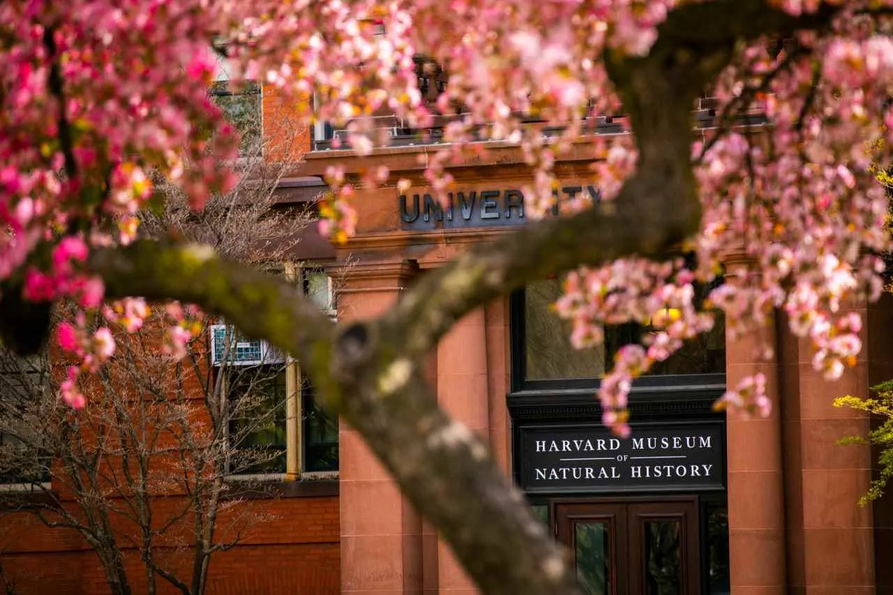 Căng thẳng leo thang: Harvard kiện chính quyền Trump ra tòa