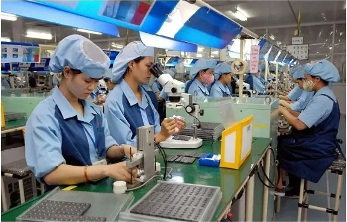 tu-ngay-10-9-lua-gat-lao-dong-tron-dong-bhxh-bi-phat-toi-75-trieu-dong-1.webp Từ ngày 10/9, lừa gạt lao động, trốn đóng BHXH bị phạt tới 75 triệu đồng