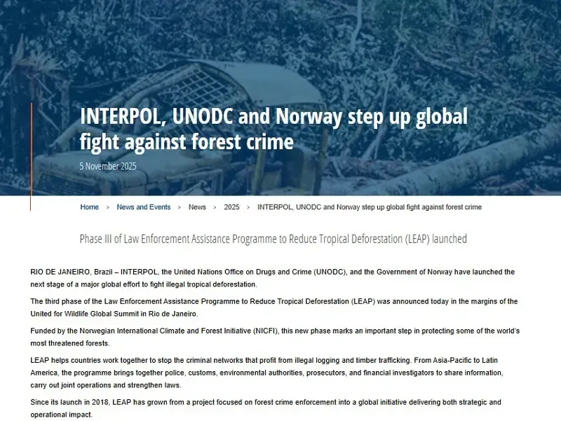 Interpol phát động chiến dịch toàn cầu chống nạn phá rừng