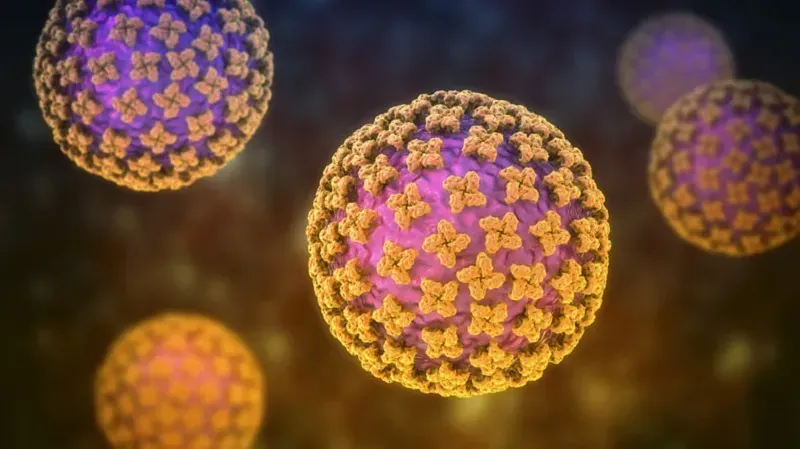 CDC chưa ghi nhận ca nhiễm hantavirus, đang theo dõi 41 trường hợp