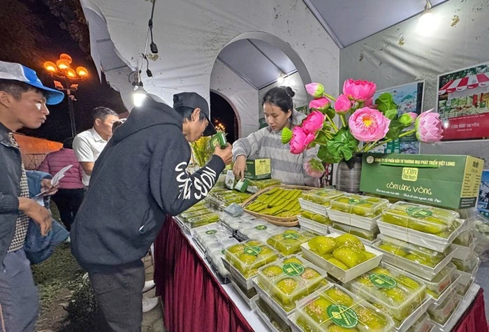 Nhieu-hoat-dong-trai-nghiem-dac-sac-tai-Festival-Ha-Noi-2025-3.webp Nhiều hoạt động trải nghiệm đặc sắc tại Festival Thu Hà Nội 2025