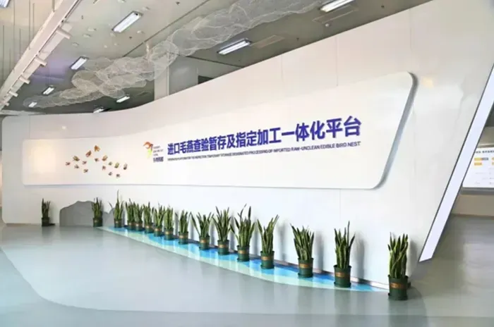 to-yen-tho-viet-nam-lan-dau-tham-nhap-thi-truong-trung-quoc-1.webp Tổ yến thô Việt Nam lần đầu thâm nhập thị trường Trung Quốc