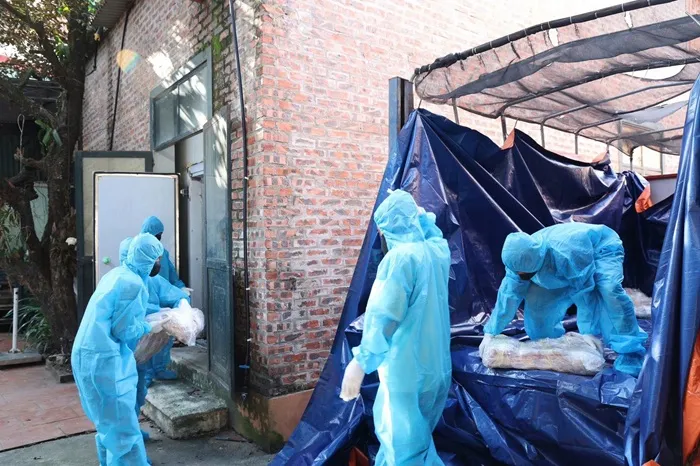 Việt Nam: Phát hiện 38 tấn thịt nhiễm dịch tả heo châu Phi  Việt Nam: Phát hiện 38 tấn thịt nhiễm dịch tả heo châu Phi