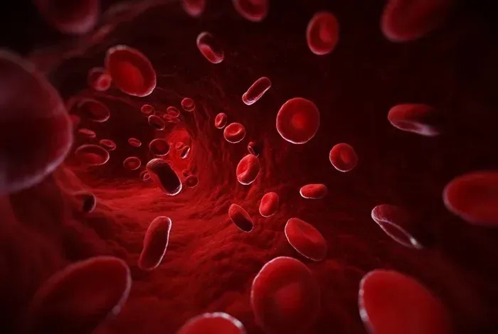 Những yếu tố l&agrave;m tăng nguy cơ thiếu m&aacute;u n&atilde;o 