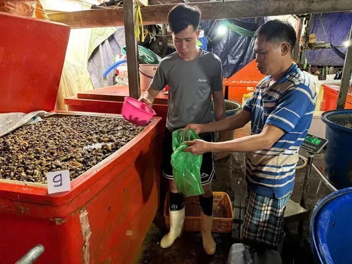 Tiếp tục triệt ph&aacute; đường d&acirc;y ng&acirc;m 3.000 tấn ốc bươu bằng &ldquo;thủy tinh lỏng&rdquo;