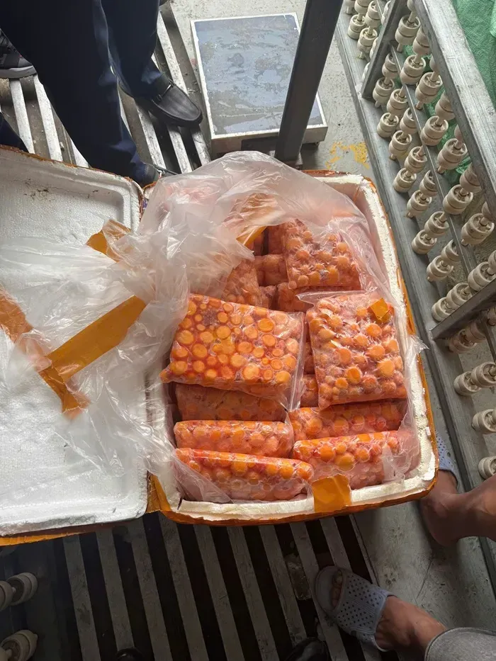 Hà Nội phát hiện hàng tấn sụn gà, trứng non không rõ nguồn gốc Hà Nội phát hiện hàng tấn sụn gà, trứng non không rõ nguồn gốc