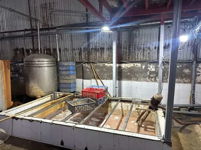 H&agrave;ng chục tấn l&ograve;ng lợn h&ocirc;i thối bị ph&aacute;t hiện tại H&agrave; Nội 