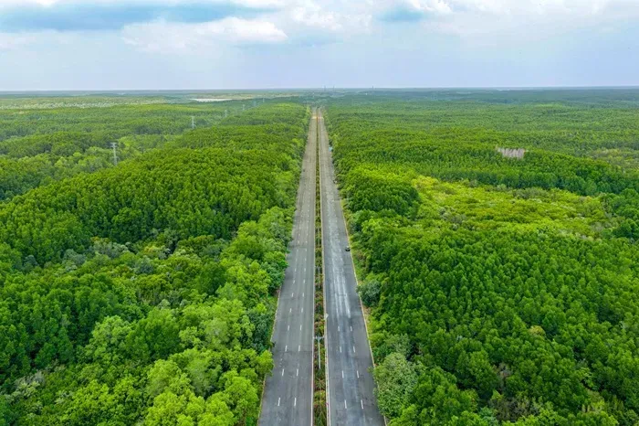 TP. HCM khai th&aacute;c tour trực thăng ngắm th&agrave;nh phố từ ng&agrave;y 11/3