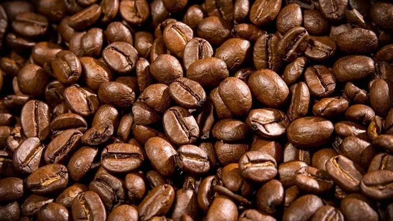 Khám phá 3 tinh hoa cà phê được ưa chuộng ở 3 miền Việt Nam
