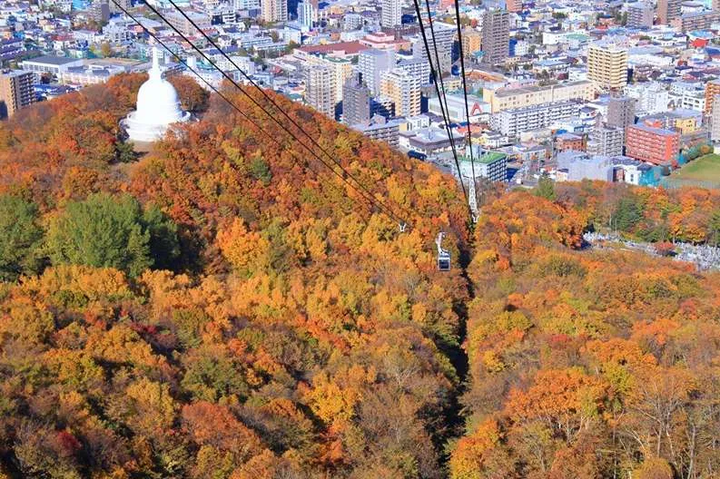 Khám phá vẻ đẹp nguyên sơ của Hokkaido qua từng mùa trong năm