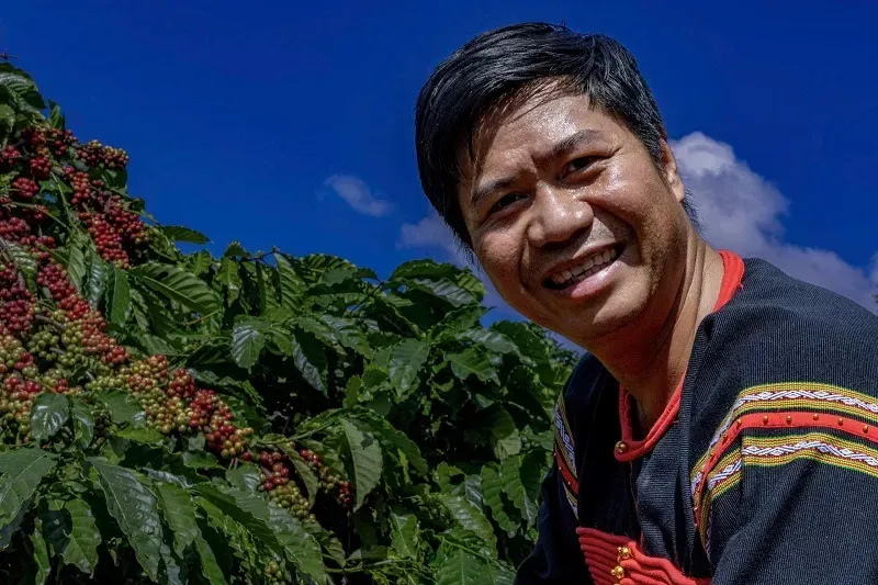 C&agrave; ph&ecirc; Việt c&oacute; chịu sức &eacute;p vụ Hoa Kỳ dỡ bỏ thuế quan Brazil?